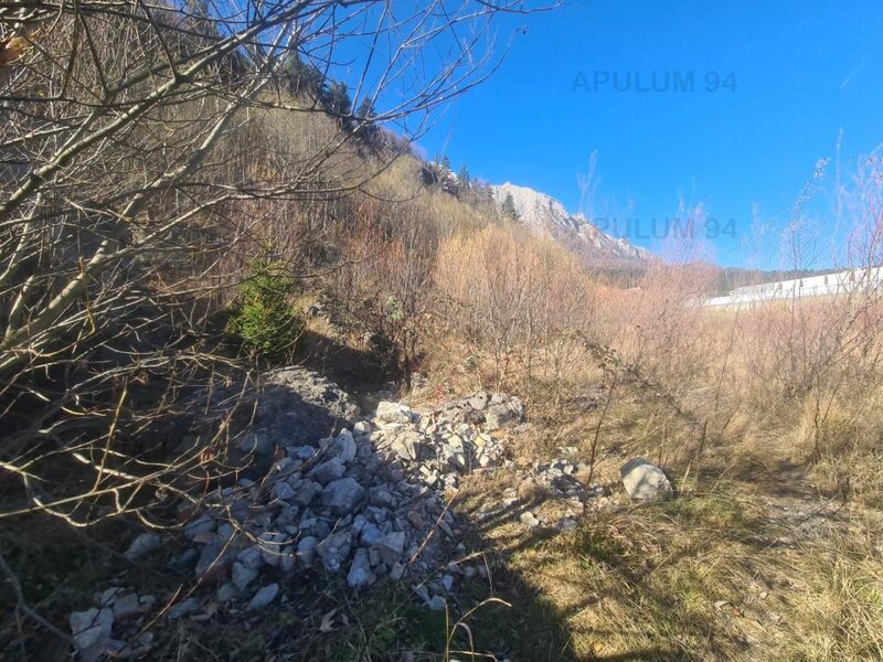 Teren intravilan de vanzare in Busteni - Zona centrala