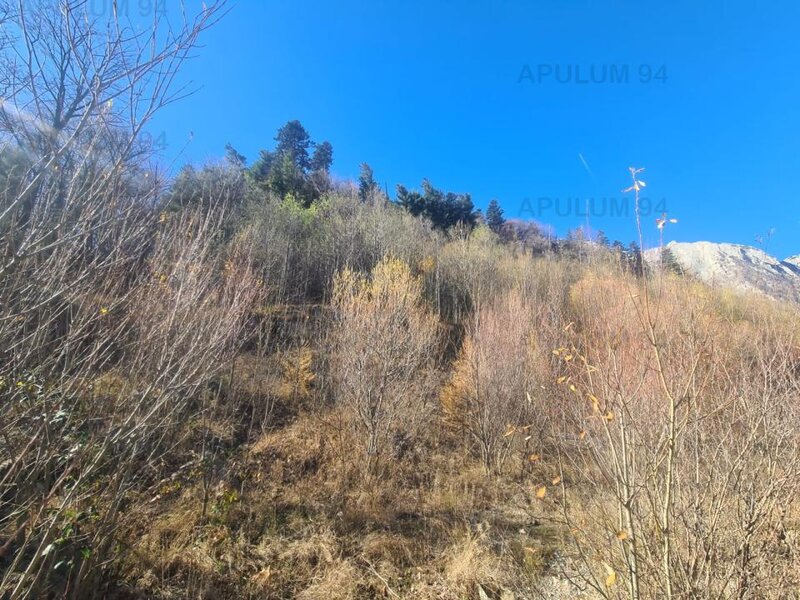 Teren intravilan de vanzare in Busteni - Zona centrala