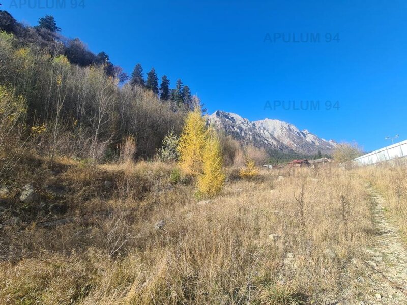 Teren intravilan de vanzare in Busteni - Zona centrala