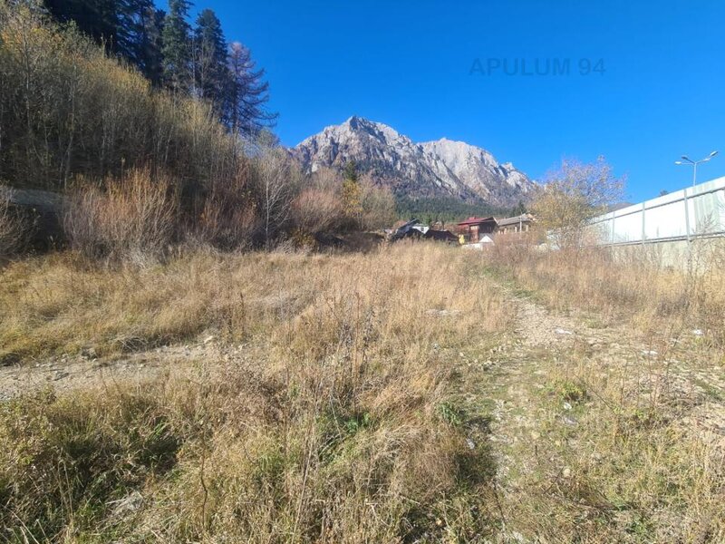 Teren intravilan de vanzare in Busteni - Zona centrala